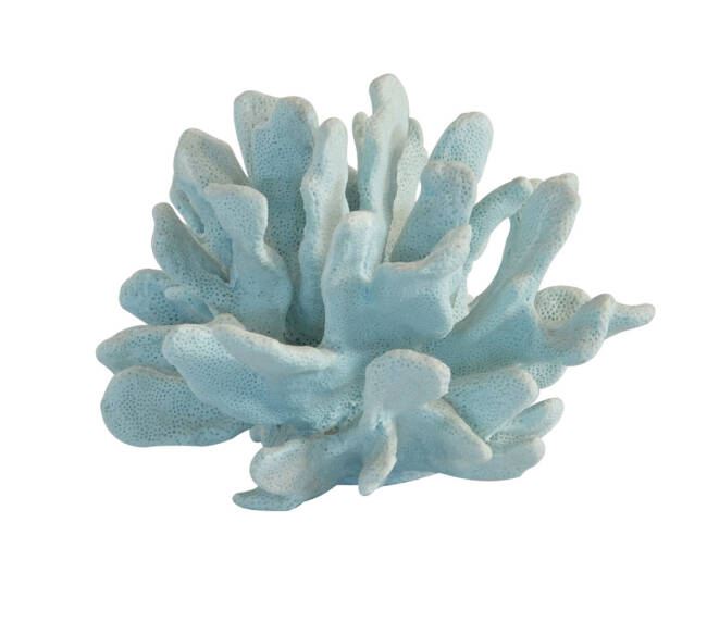 Blue Coral Sculptural Object